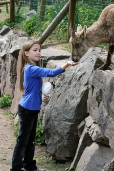 Blonde girl feeds animals in the zoo.