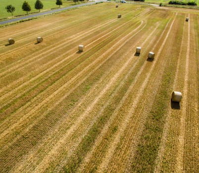 Field with straw rolls after harvest