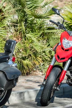red sport motorcycle parked against green palms background