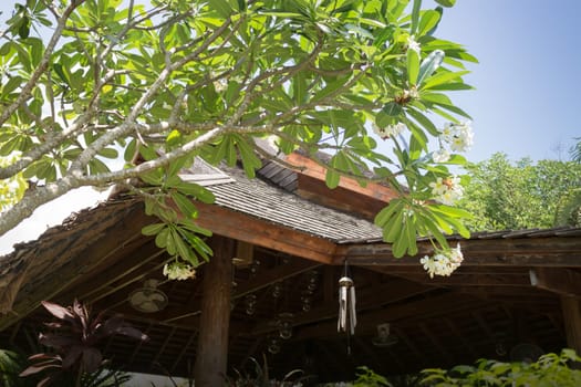 Green Garden Of Resort And Spa Surrounding , stock photo