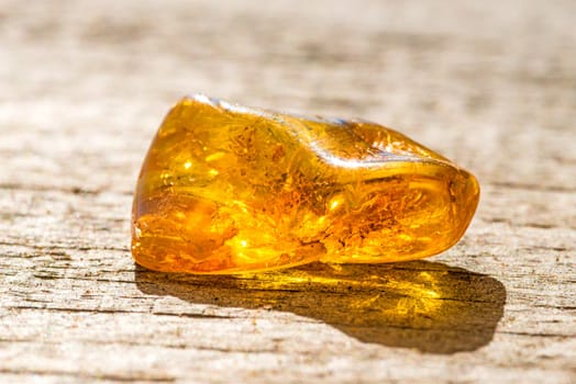 Amber in the sun
