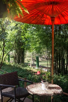 Outdoor Table And Chair In Garden, stock photo