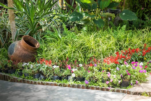 Green Garden Of Resort And Spa Surrounding , stock photo