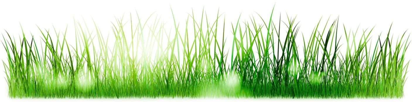 banner grass meadow graphic illustration gradient sun light shade highres bokeh