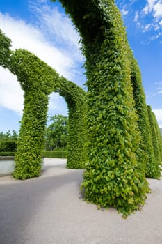 Decorative arches of green leaves in garden park with blue sky and white clouds background