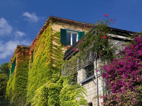 Walls of house in Naples covered with colored leaves and flowers, blue sky background, sunny day.