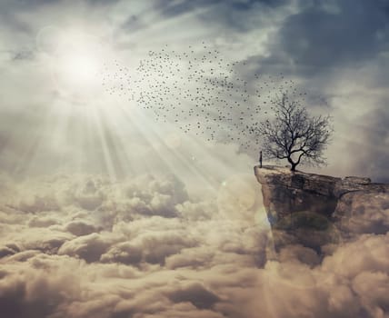 Young man standing on the peak of a cliff over clouds watching at a flock of birds flying from a strange, bare tree. The tree of death symbol, journey and discover.