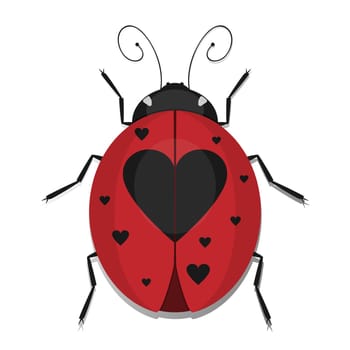 Ladybug beetles with heart spotted wing, vector ladybird ikon isolated on white background.