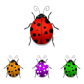 Set of colorful ladybugs isolated on white background. Vector illustration