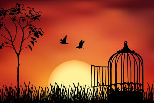 Birds couple escape from a cage, released to nature. Beautiful and positive vector illustration on a orange sunset background. Freedom and togetherness concept.