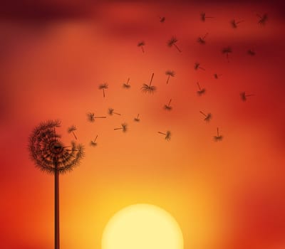 Silhouettes of seeds escape from a dandelion flower on the twillight sky background. Vector illustration symbolizing a breaking free, life journey concept.