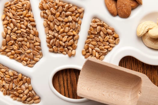 Grains on white painter's pallet with wooden spoon.