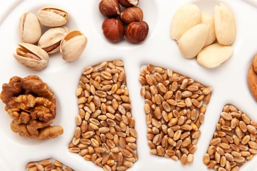 Various nuts,almonds and cereal grains on white painter's pallet.