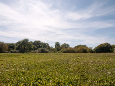 a shot from the ground grass of a meadow outside on a clear sunny day with lots of light and strong colors amazing