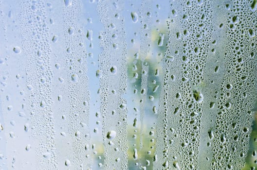 Drops of water on glass