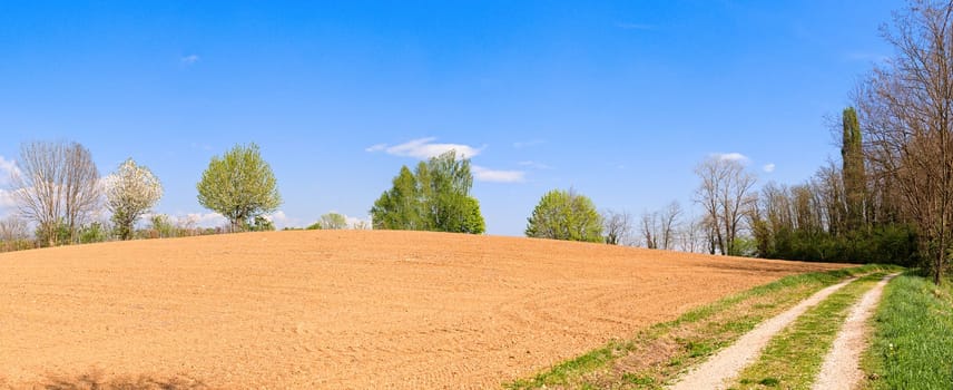 Agricultural landscape. Plowed field and country road and blue sky.