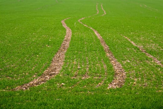 Traces