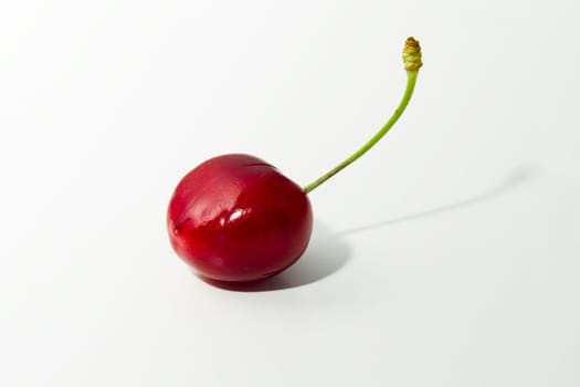 Sweet cherry