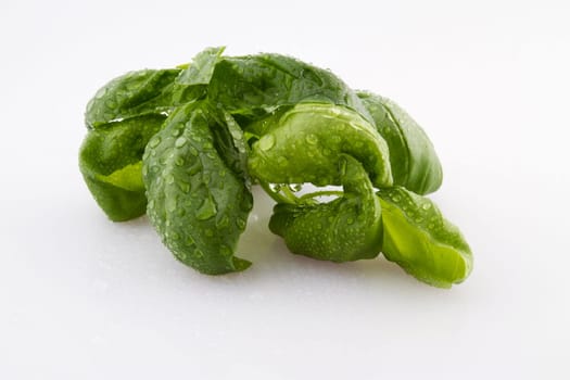 Basil with drops