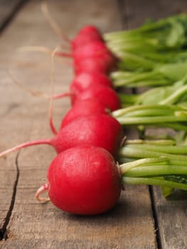 Fresh organic radishes in a row on a wooden table