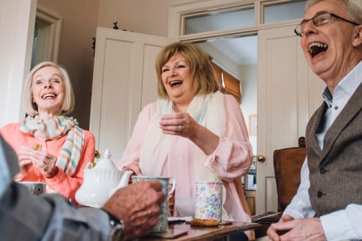 Group of seniors are enjoying tea and biscuits at home.