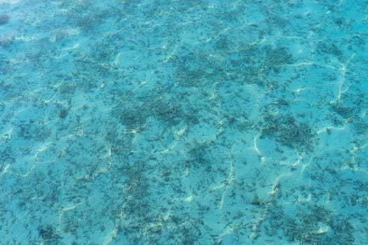 sea or ocean with transparent blue water ..