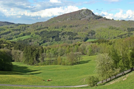 View of the Milseburg in the Kuppenrhön