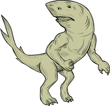 Drawing sketch style illustration of a Nanaue, a mythical creature in Hawaiian Folklore of a humanoid shark with arms and legs looking to the side viewed from front set on isolated white background.