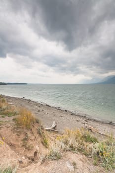 Portrait Landscape of a storm over yellowstone lake with the lake front in the foreground, Yellowstone National Park, Wyoming, USA.
