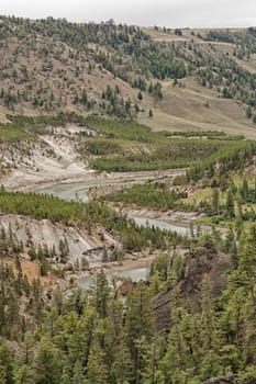 Portrait Landscape of the winding Yellowstone River, Wyoming, USA.