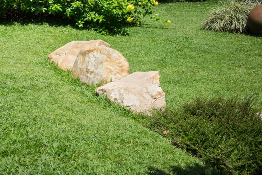 Fresh Summer Green Grass Garden, stock photo