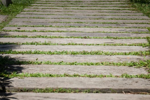 Summer Green Grass Step In Garden, stock photo