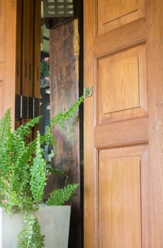 Exterior Wooden Door And Plant Pot, stock photo