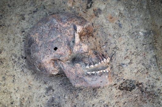 Archaeological excavation with skeletons and skulls still half buried in the ground