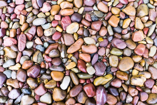 A wide variety of rocks lay under the water at Lake McDonald Montana