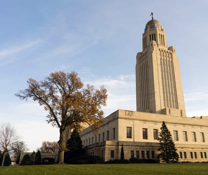 Leaves still hold on in December at Lincoln's Capital