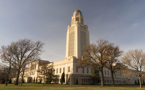 Leaves still hold on in December at Lincoln's Capital