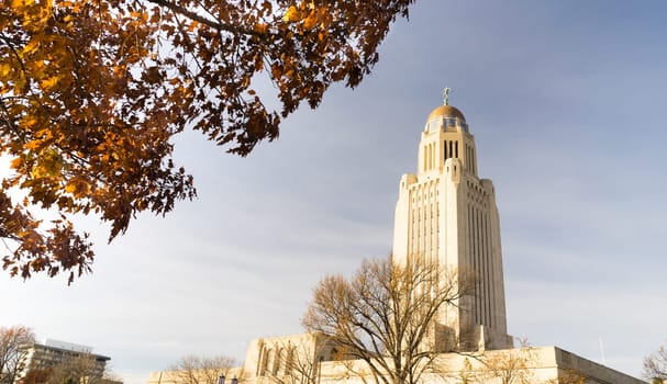 Leaves still hold on in December at Lincoln's Capital