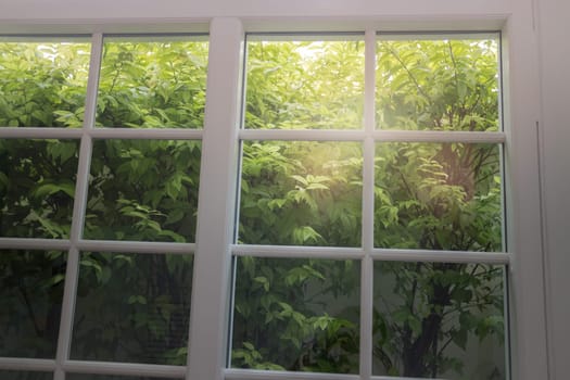 White Wooden Frame And Glass Door, stock photo