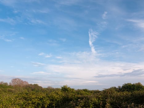 a wonderful blue sky over a field and tree tops outside peaceful and beautiful nature nice light