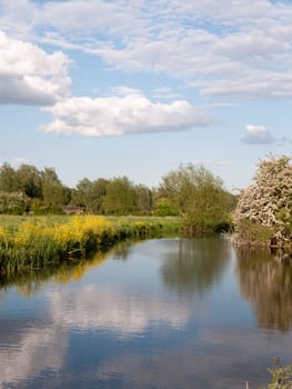 an incredible river running through the country location and landscape outside in the country with reflections in the lake and lots of colour on a summer afternoon in essex uk england and no people walking and relaxing vertical shot