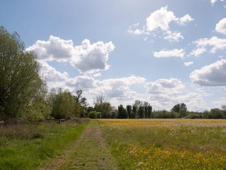 peaceful summer scene of a path through a countryside location in the uk in essex clear afternoon no one walking clear and in essex england of the uk