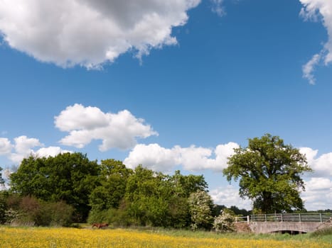 a beautiful country scene outside peaceful summer afternoon in essex uk countryside