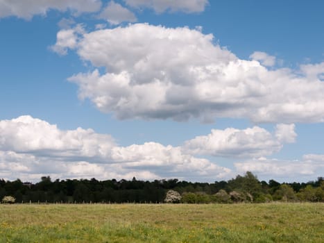a summer afternoon countryside scene peaceful outside in the uk essex and england with no people