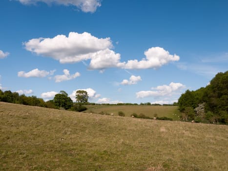 a landscape shot outside on a clear sunny day with sheep on the hills in the distance in the uk