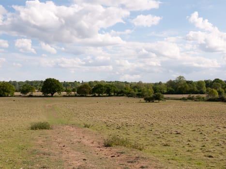 a big open shot of landscape in the uk of a field with trees in the distance and clear summer hot weather in essex england uk