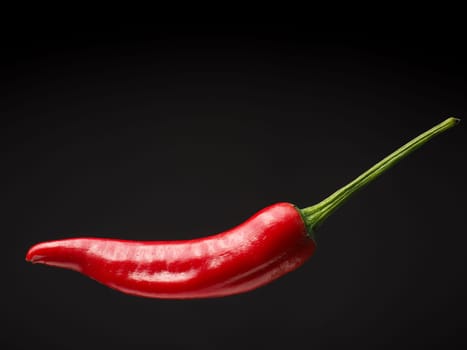 Close up of a red hot pepperoni, spicy ingredients, space for text