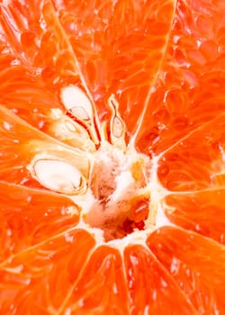 Close-up of a half blood orange, isolated on white