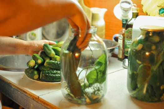 People are preparing in the kitchen. pickling cucumbers, preparation for winter salting.