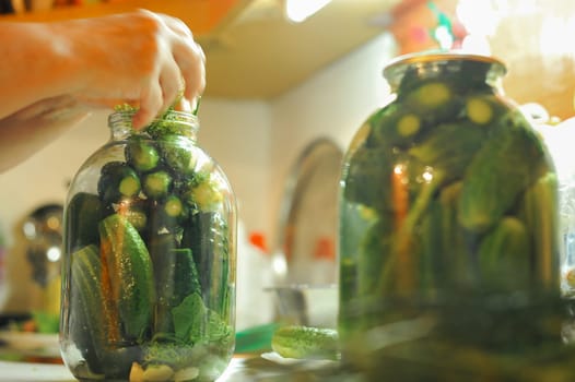 People are preparing in the kitchen. pickling cucumbers, preparation for winter salting.